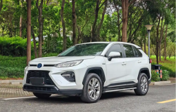 Toyota Wildlander 2021