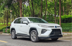 Toyota Wildlander 2021