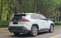 Toyota Wildlander 2021