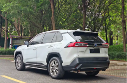 Toyota Wildlander 2021