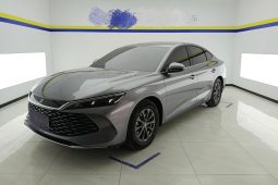 BYD-qin plus DM