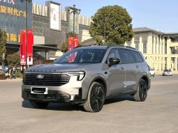Ford 2025 Lingyu Plug-