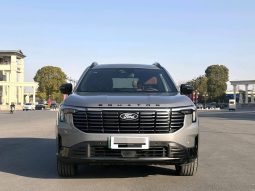 Ford 2025 Lingyu Plug-