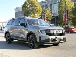 Ford 2025 Lingyu Plug-