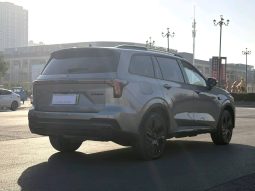 Ford 2025 Lingyu Plug-
