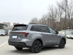 Ford 2025 Lingyu Plug-in 1.5T Premium PLUS Автоматическая коробка передач