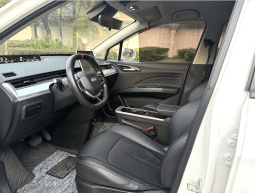 Nezha 2022 Nezha V Trend 300 Lite Automatic (401KM)