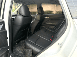 Nezha 2022 Nezha V Trend 300 Lite Automatic (401KM)